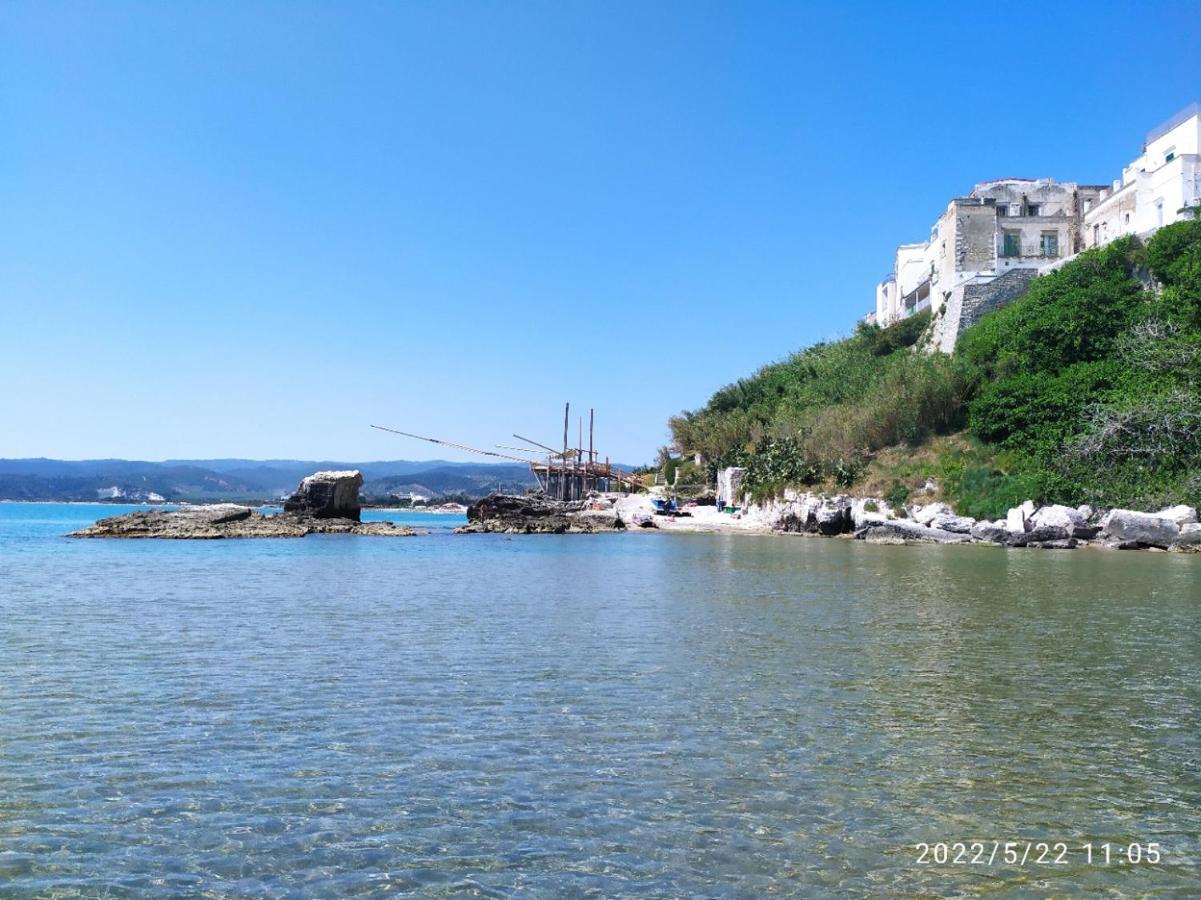 Villa Casina Viestana Vieste Esterno foto
